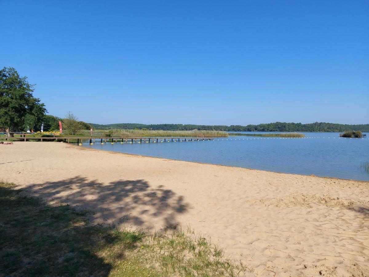 T2, 50M Du Lac, Piscine, Wifi, Jardin Terrasse Sans Vis-A-Vis, 1 A 4 Pers Aureilhan  المظهر الخارجي الصورة