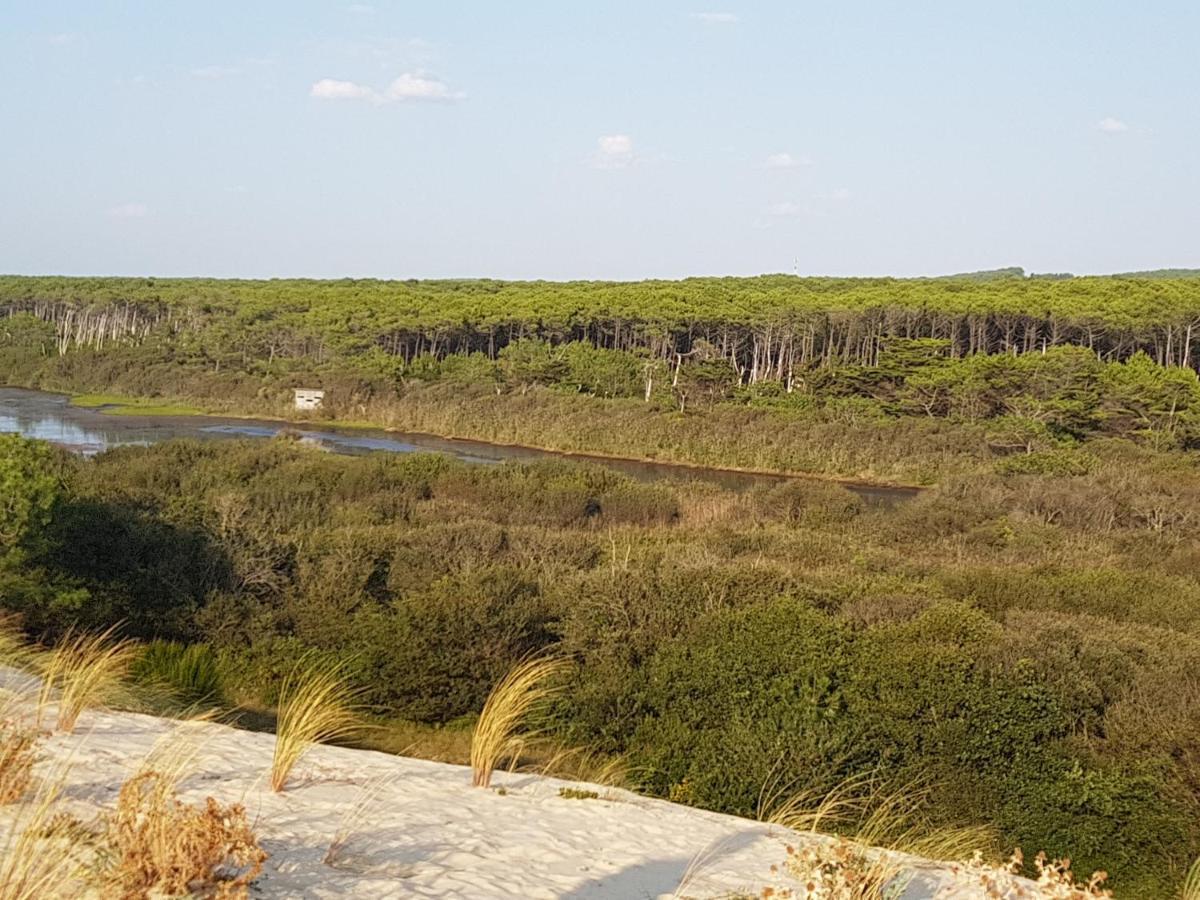 T2, 50M Du Lac, Piscine, Wifi, Jardin Terrasse Sans Vis-A-Vis, 1 A 4 Pers Aureilhan  المظهر الخارجي الصورة